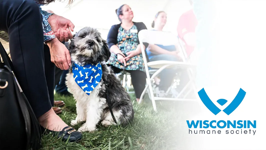 Wisconsin Humane Society | Lee Mechanical Wisconsin Humane Society | Lee Mechanical