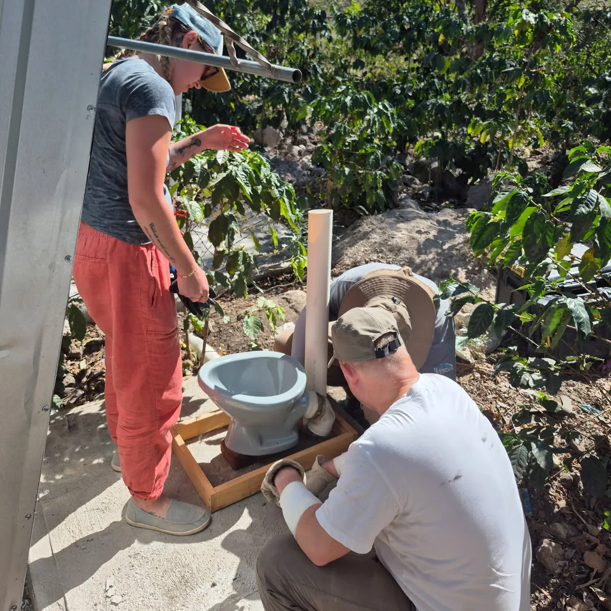 Three people installing a toilet outdoors, surrounded by plants and rocks, as part of a construction or sanitation project.