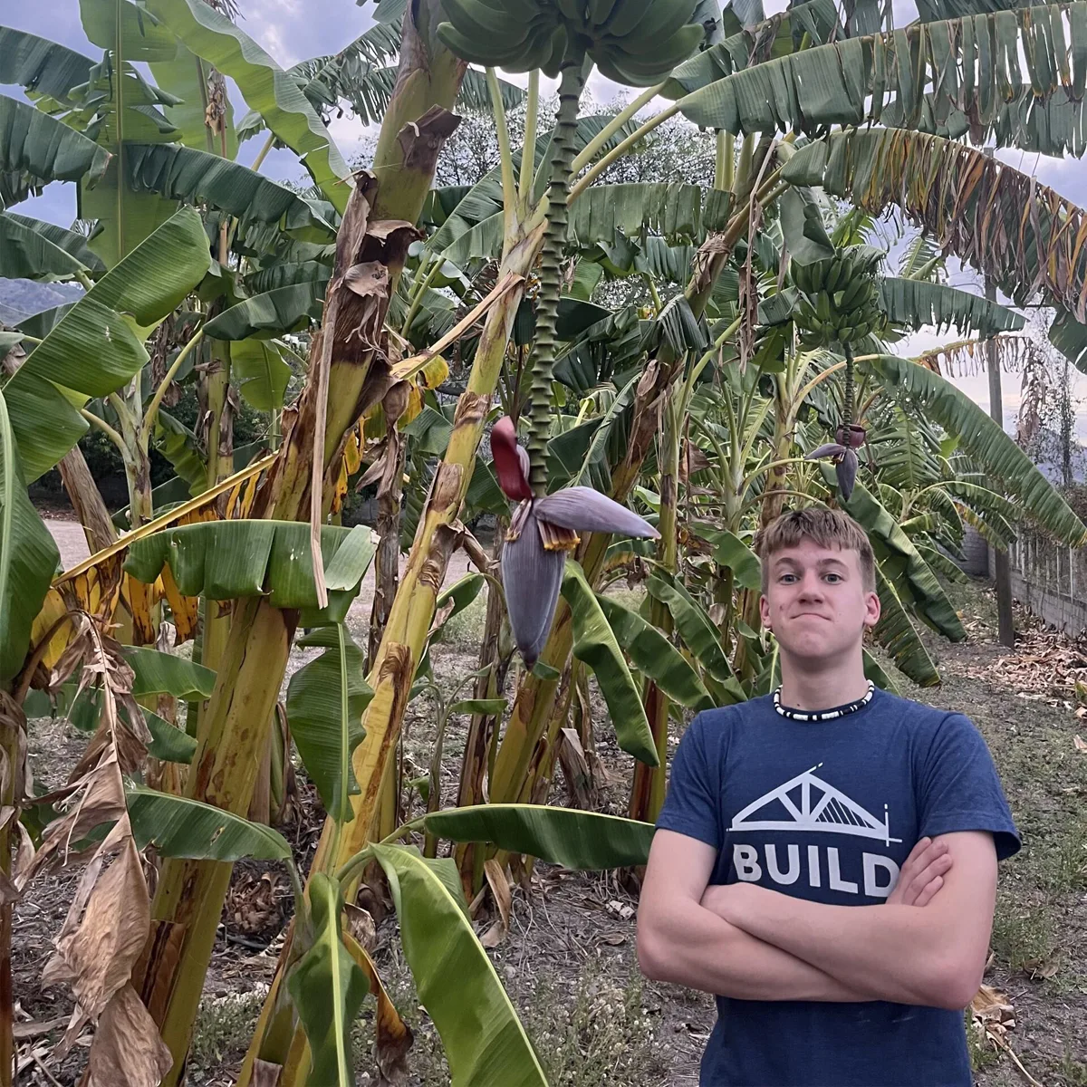 Teen boy standing with arms crossed in front of a banana grove, wearing a navy “BUILD” shirt and a beaded necklace, with bunches of green bananas and large purple banana flowers visible in the background.
