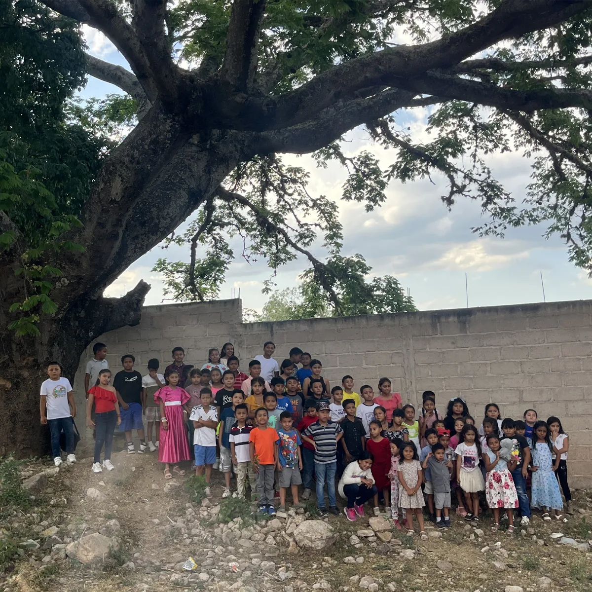 Large group of children gathered under a sprawling tree in front of a stone wall, smiling and posing for a group photo outdoors.