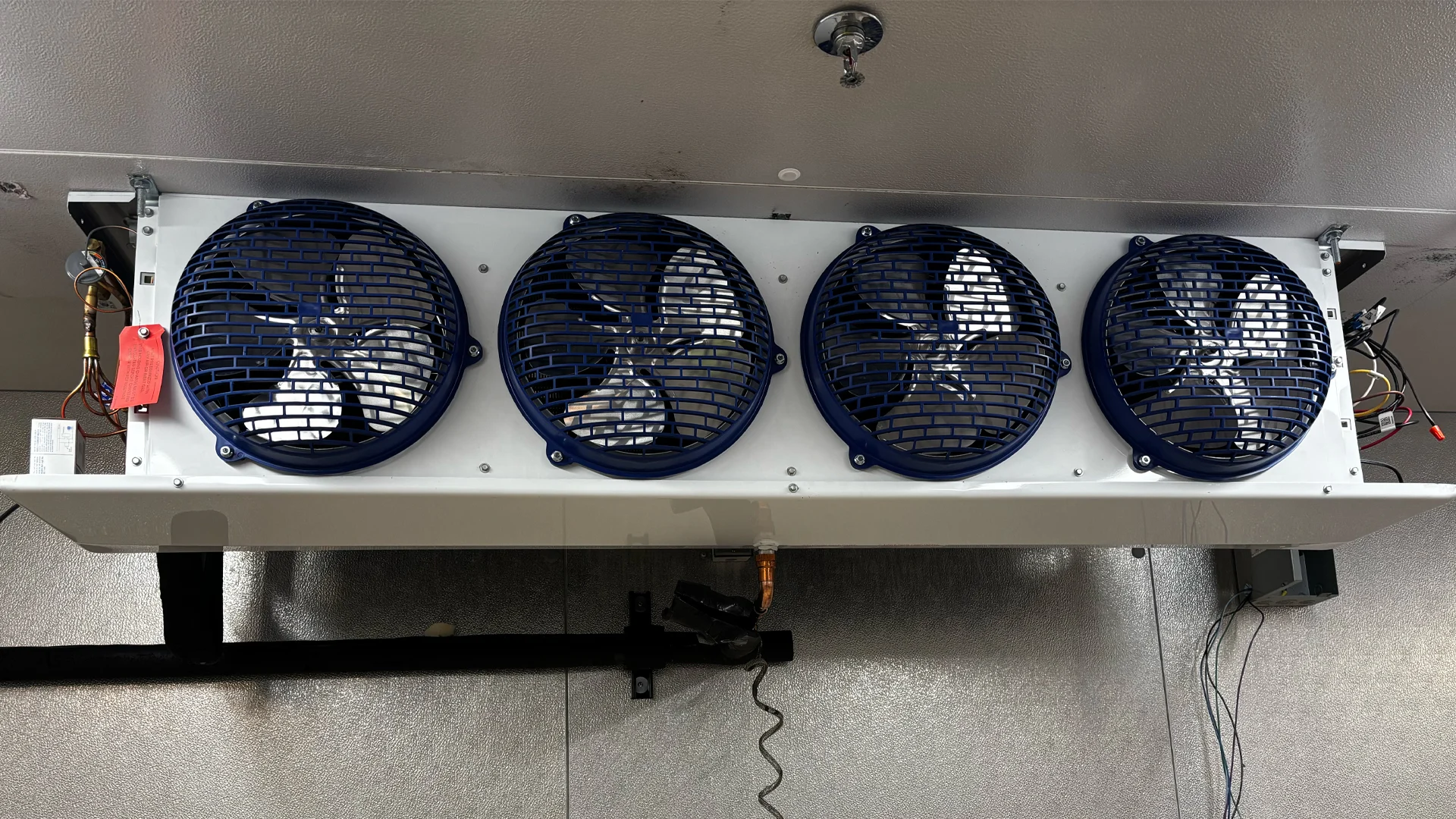 Lee Newcastle Featured